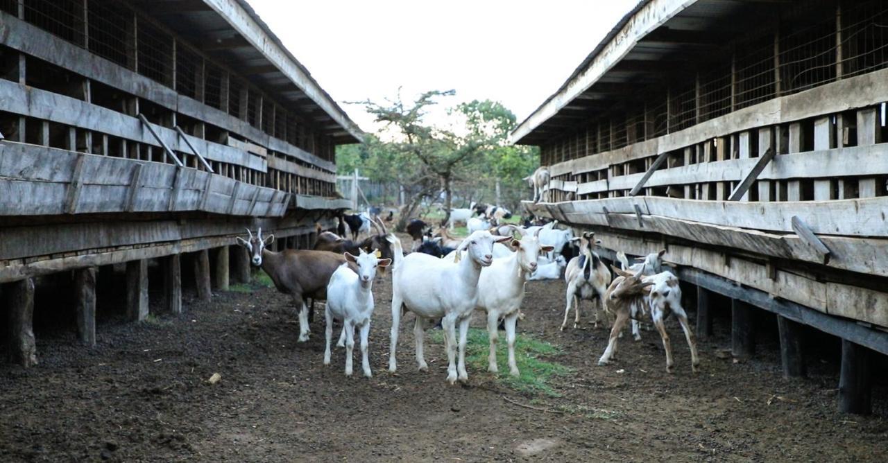 Hotel Sangare Gardens Mweiga Exterior foto